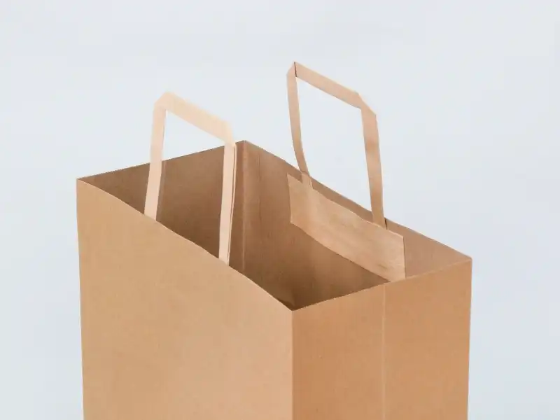 Sacs à poignée plate